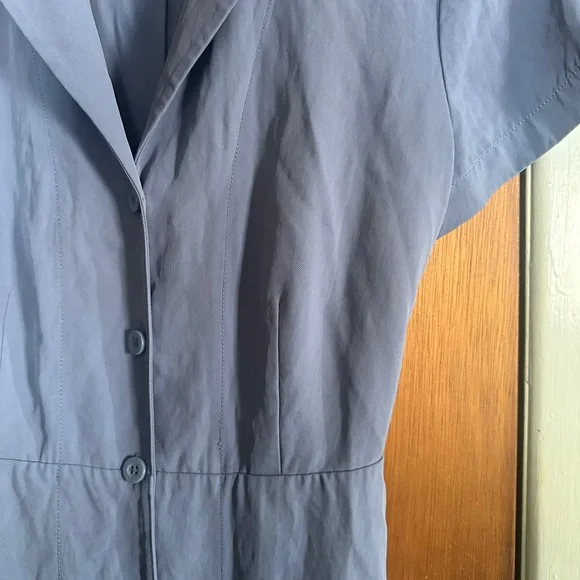 Everlane Blue Collar Summer dress - Picture 6 of 7